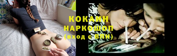 apvp Володарск