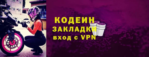 гидра Богородск