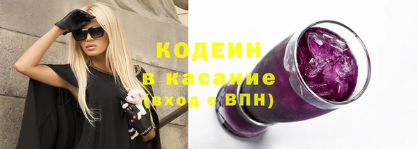 ПСИЛОЦИБИНОВЫЕ ГРИБЫ Богданович