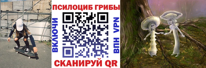 закладка  Зима  mega   Псилоцибиновые грибы Cubensis 